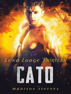 cover image of Cato